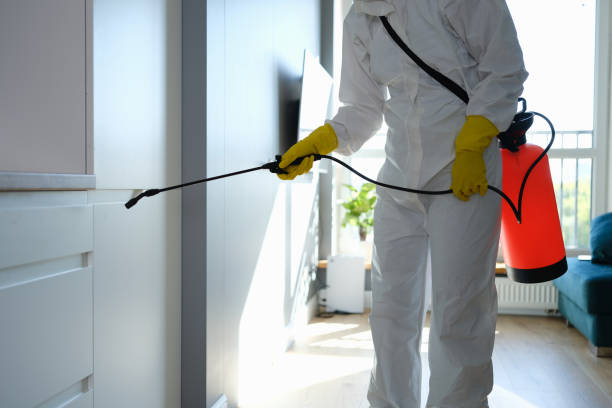 Best Professional Mold Removal  in Wolf Creek, UT